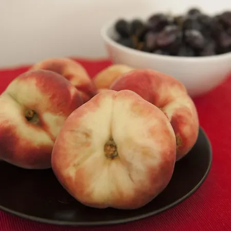 Briciole Di Gusto Vakantiehuis