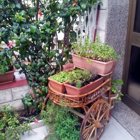 Bed & Breakfast Briciole Di Gusto